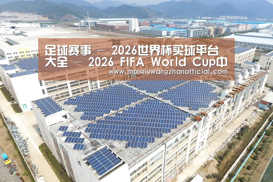 案例展示三