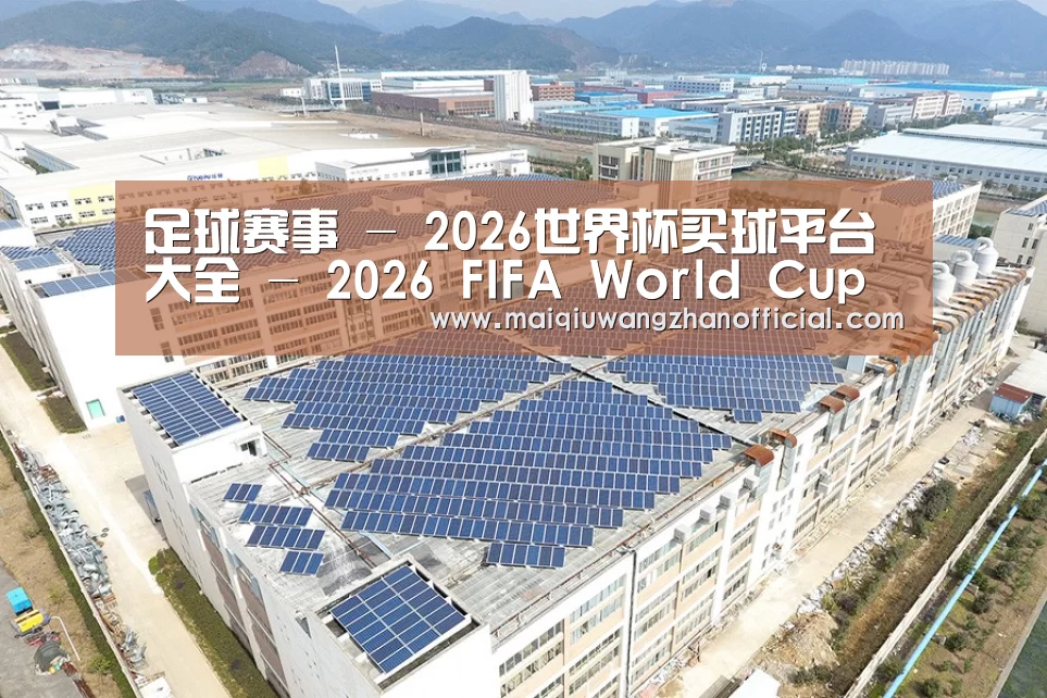 案例展示四