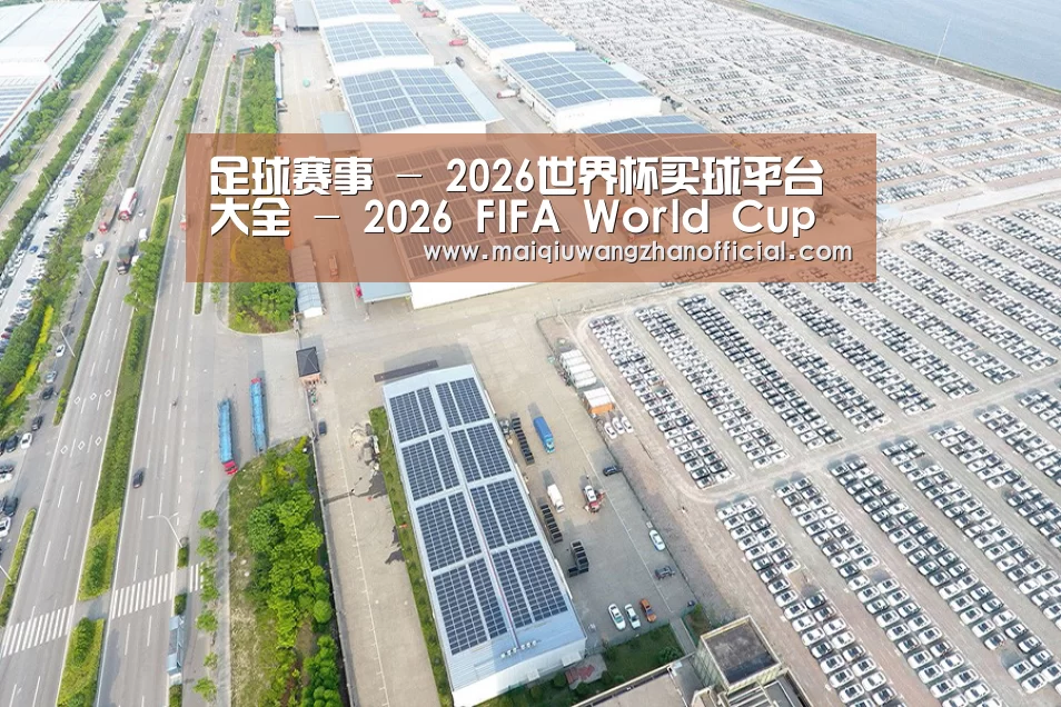 案例展示一