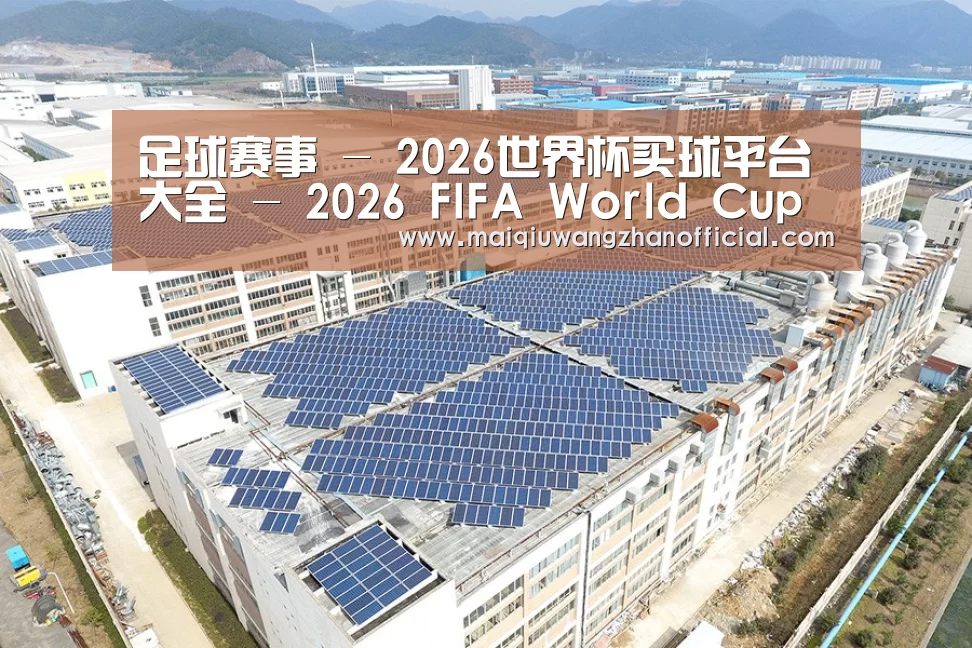案例展示四
