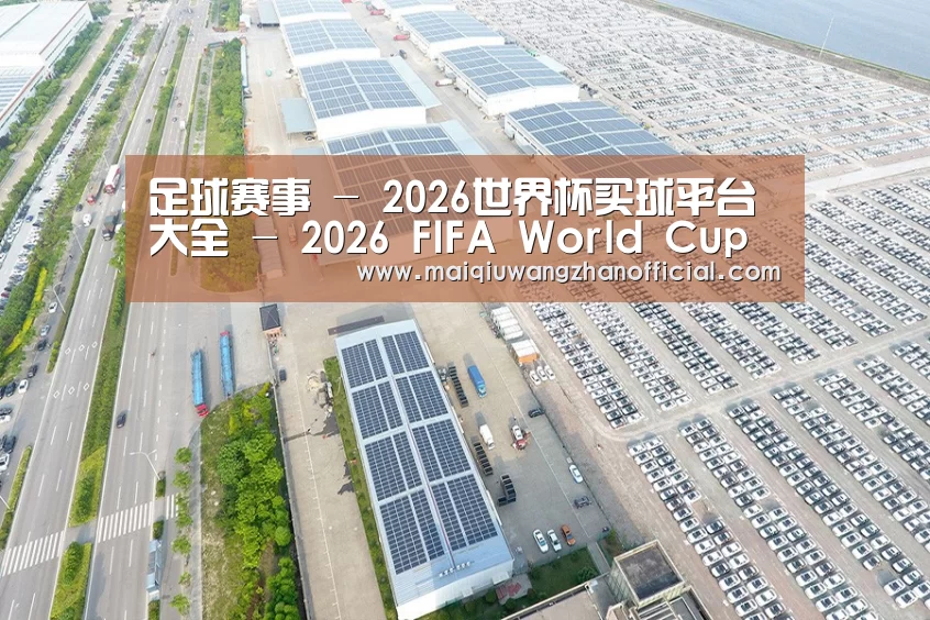 案例展示四