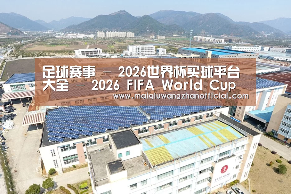案例展示三